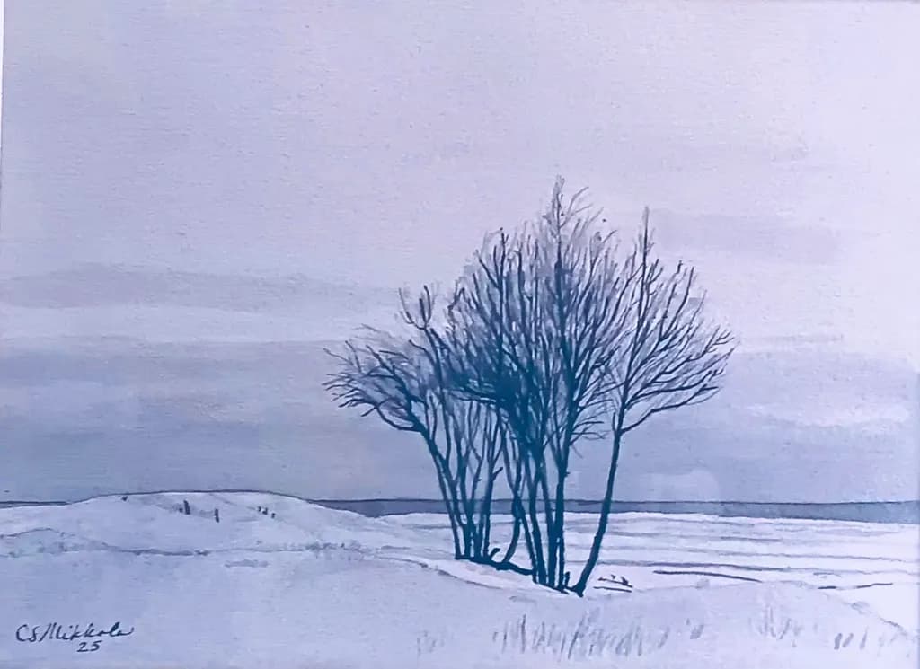 Winter Shore Trees