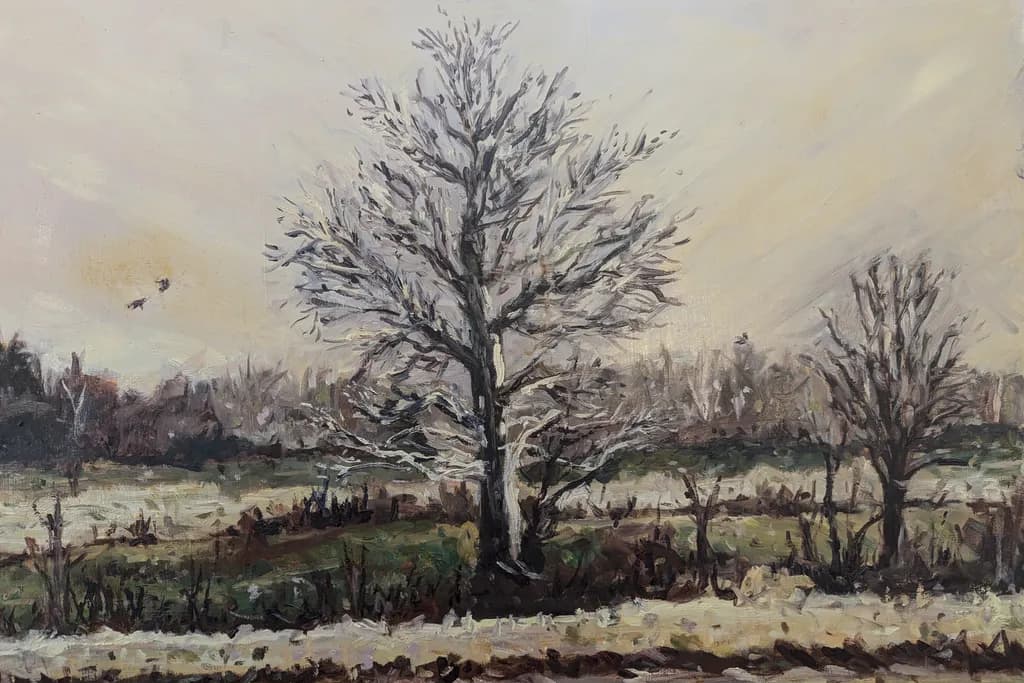 Winter Tree