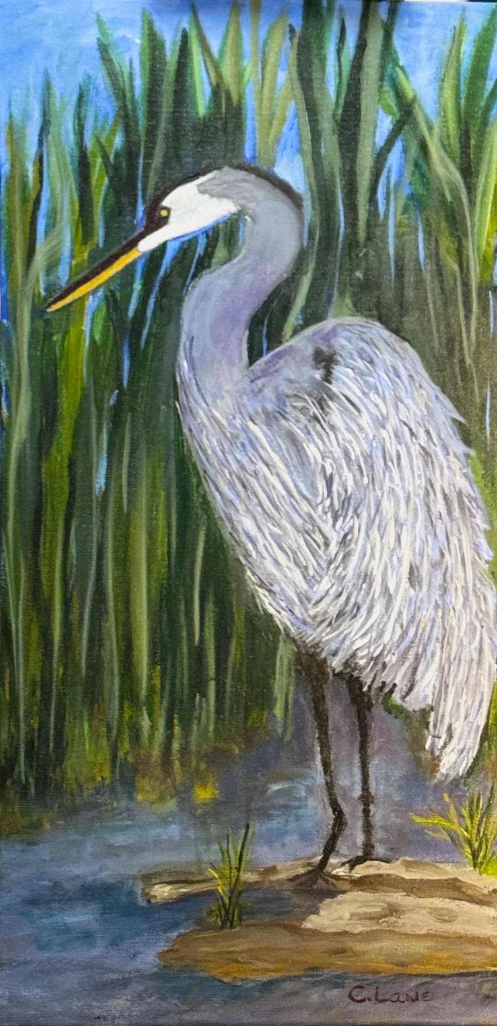 Blue Heron Watcher