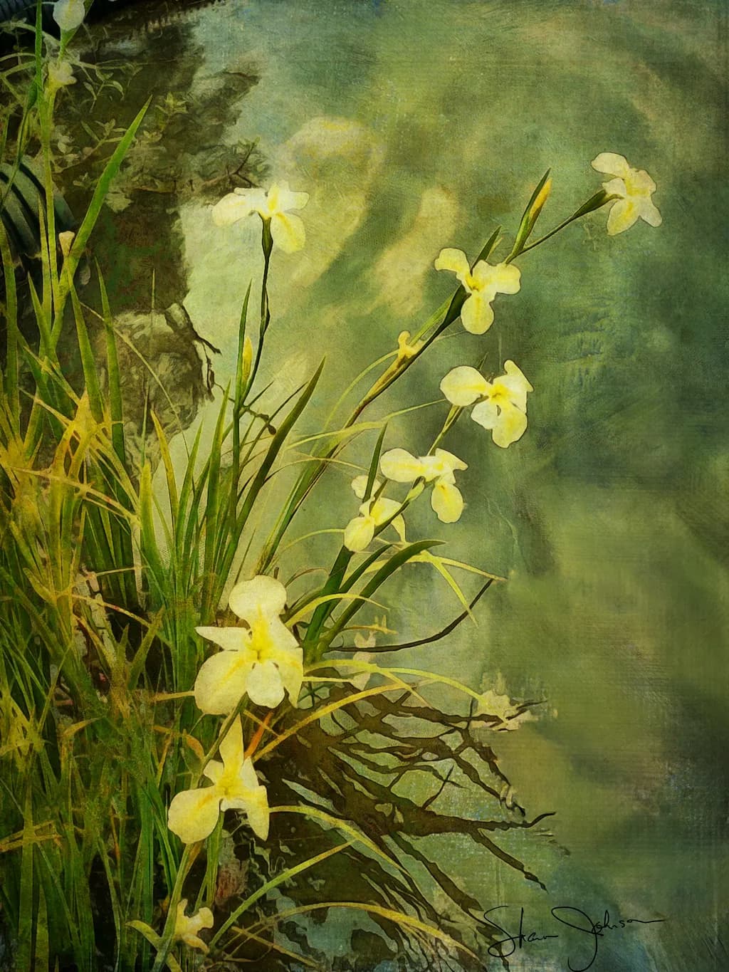 Water Flowers