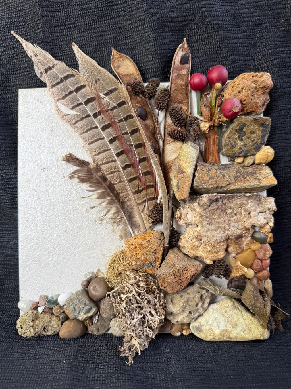 Feathered Forestsong