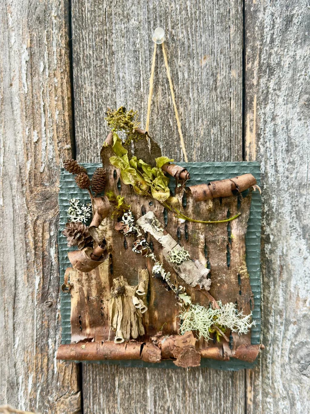 Woodland Whimsy