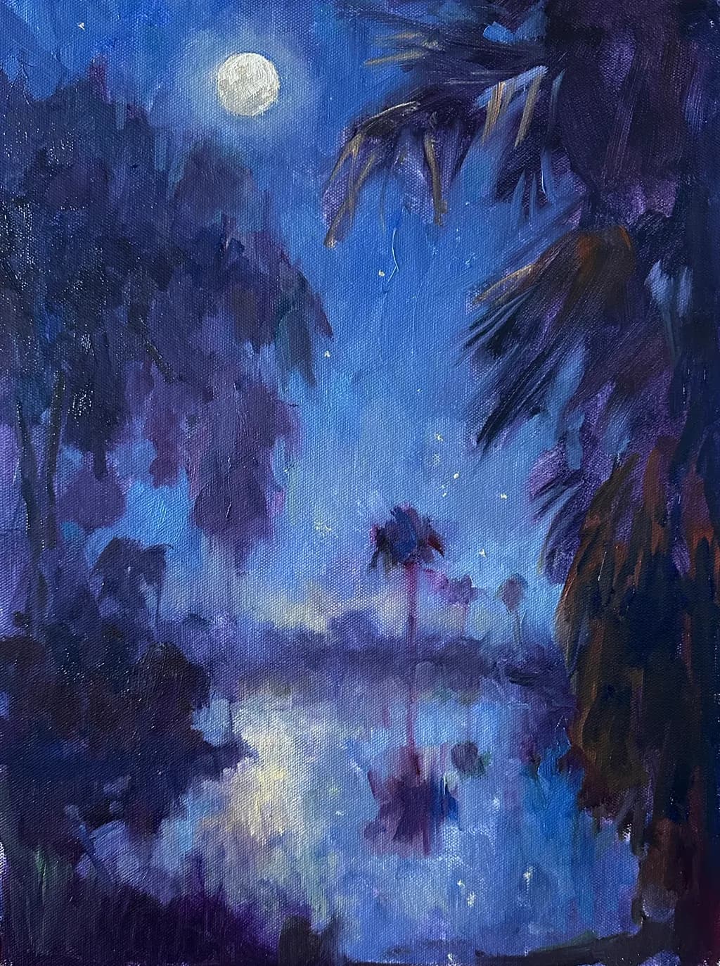 Moonlit Reflections
