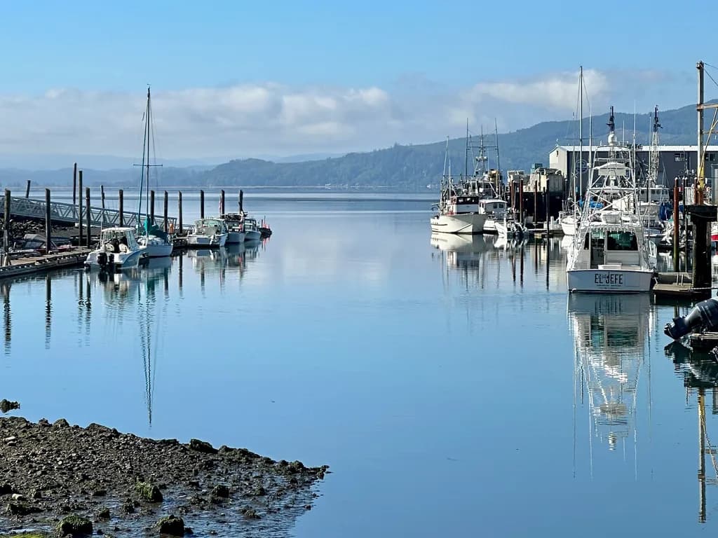 Fishing Day at the Garibaldi Bay