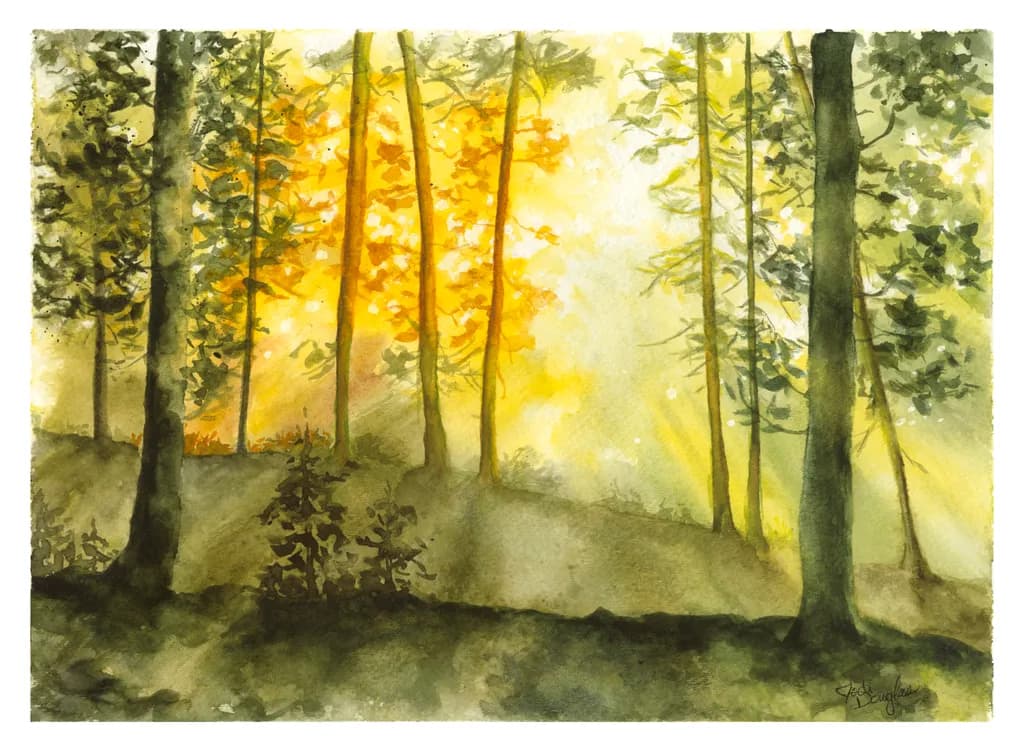 Forest Awakening