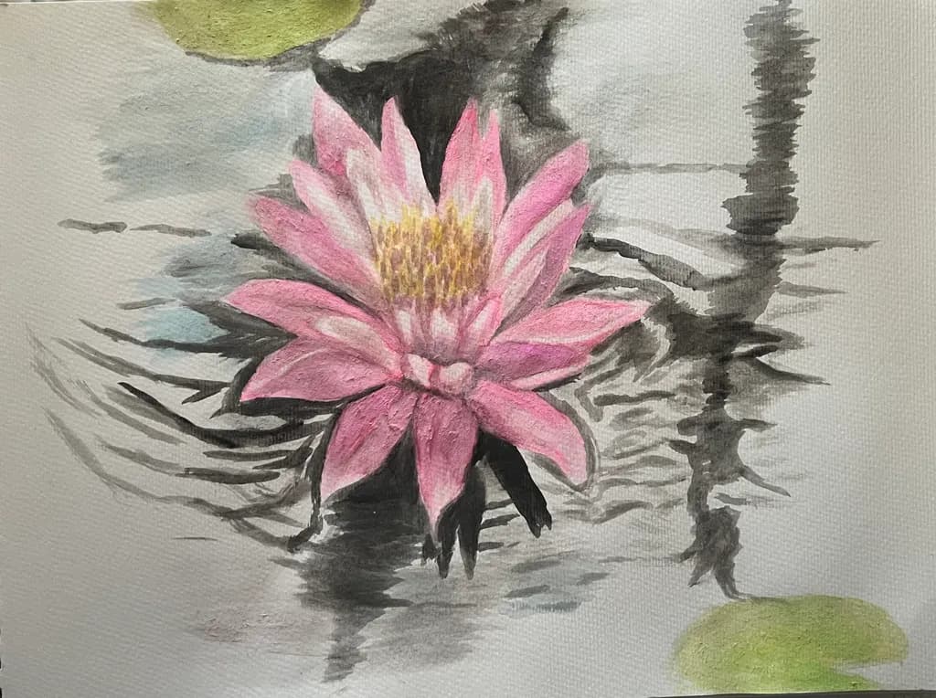 Pink Lotus Reflection