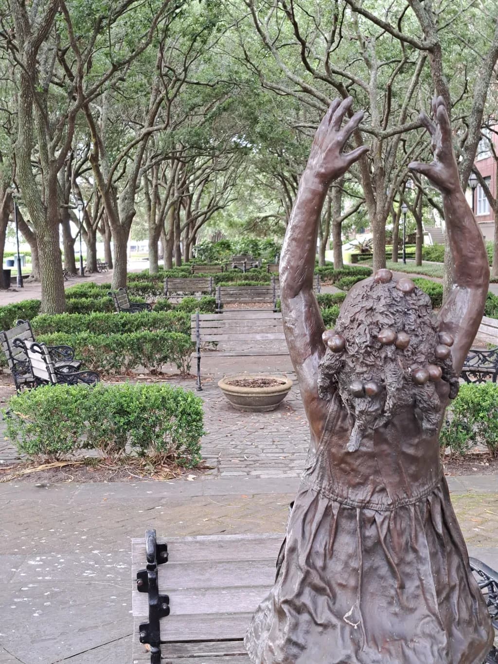 Whispers of Nature: A Playful Dance Among the Trees