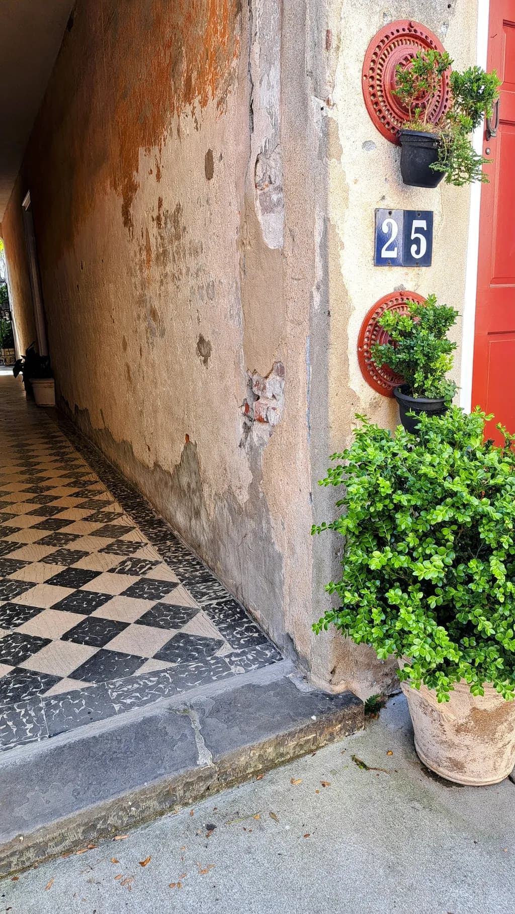 Whispers of Color: A Journey Through an Enchanted Alleyway