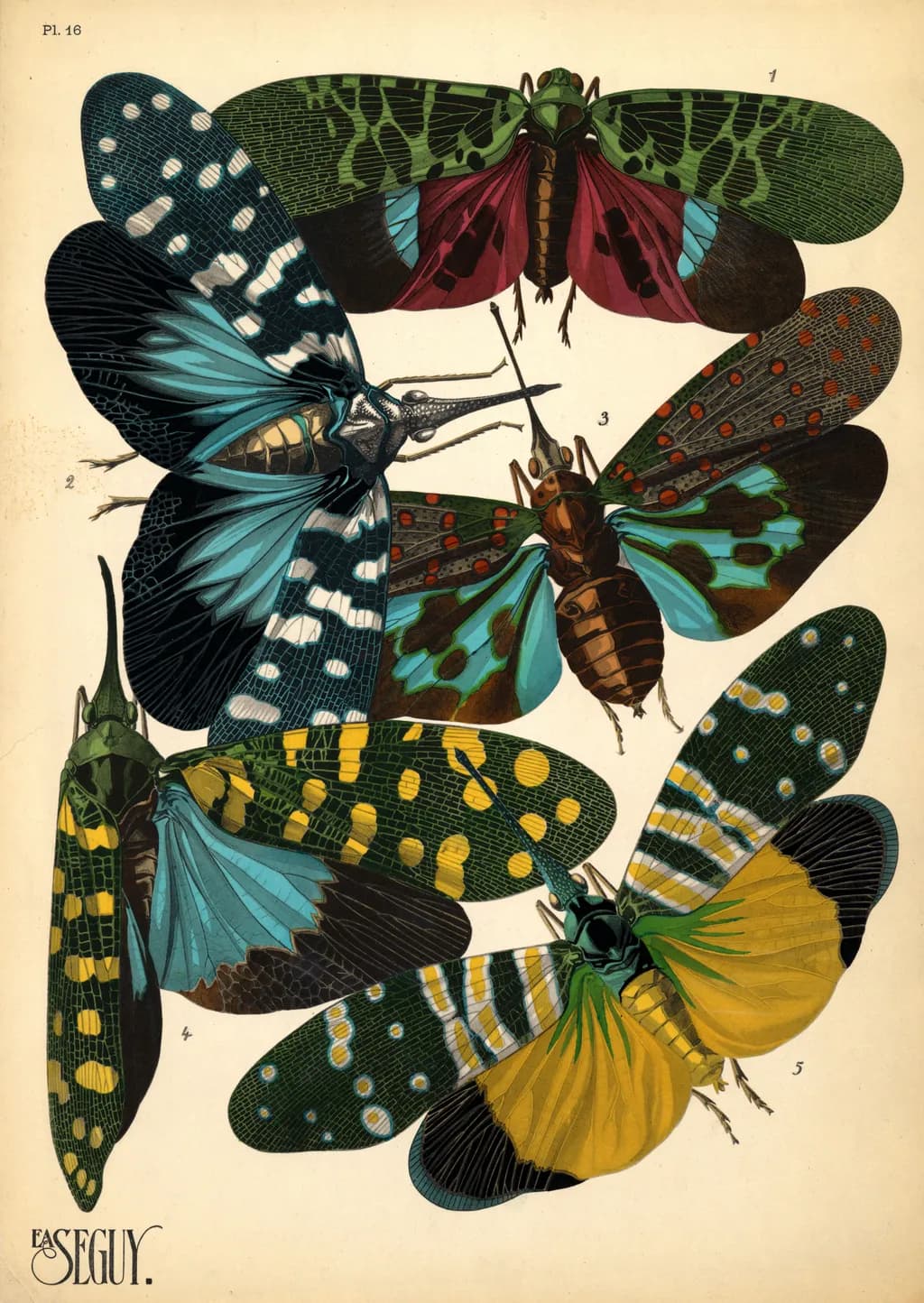 Whimsical Wings: A Colorful Dance of Nature's Artistry