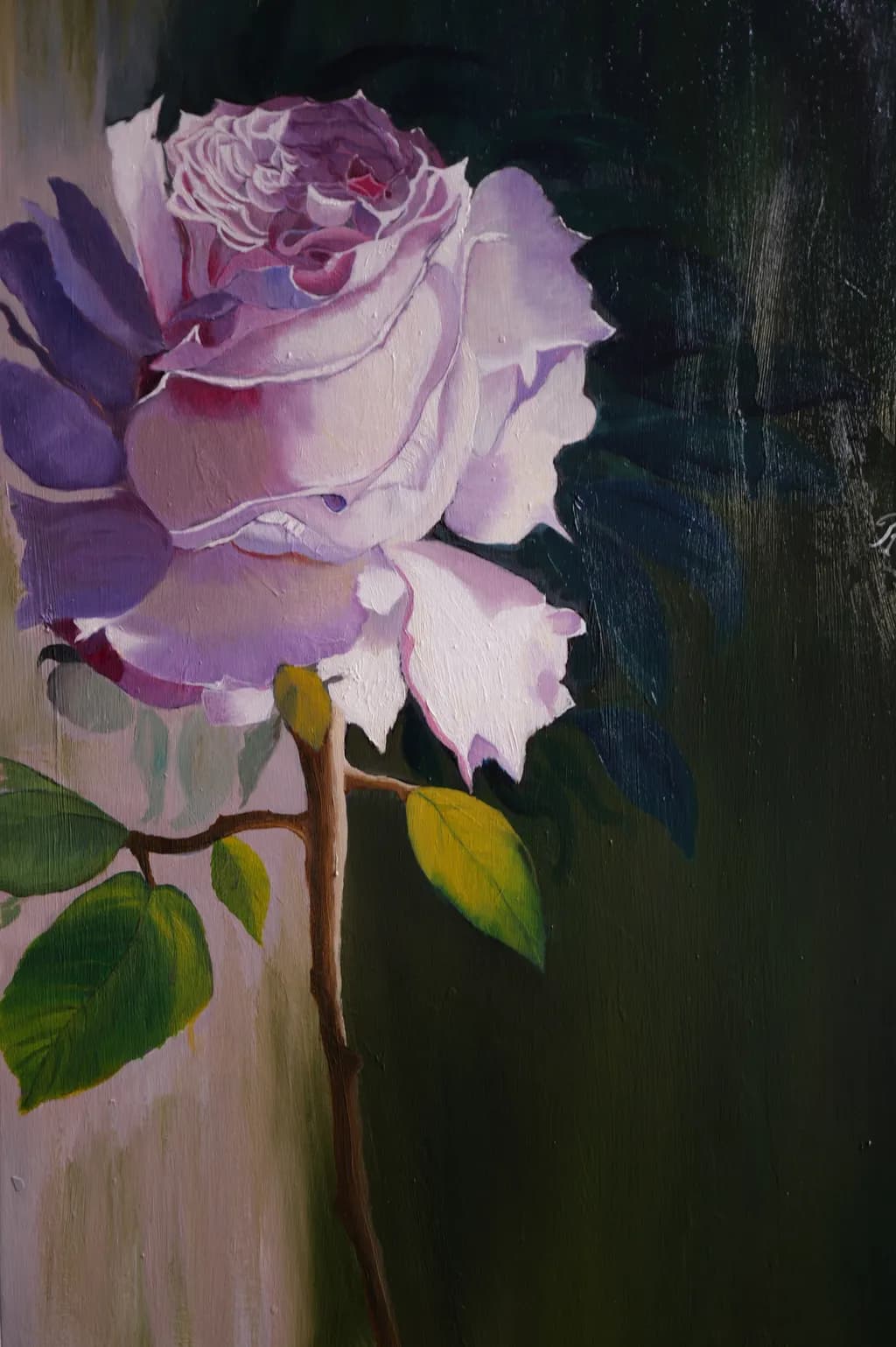 Whispers of Elegance: A Lush Lavender Rose in Bloom