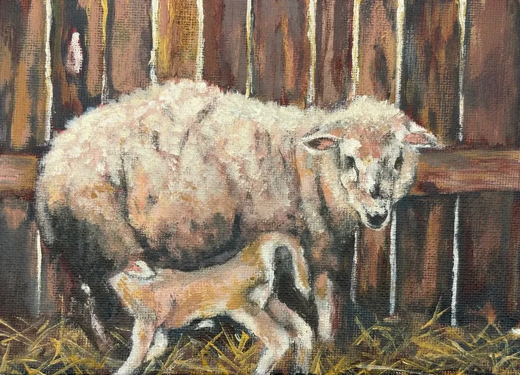 Gentle Embrace: A Mother Sheep and Her Lamb in Rustic Harmony