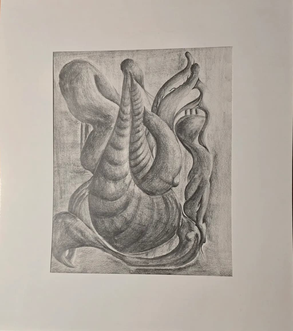 Curves of Monochrome: An Abstract Exploration of Texture and Shape
