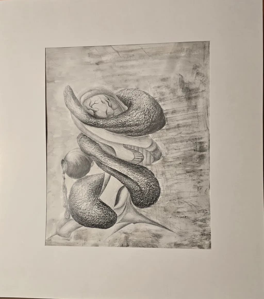 Fluid Forms