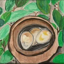Nestled Eggs