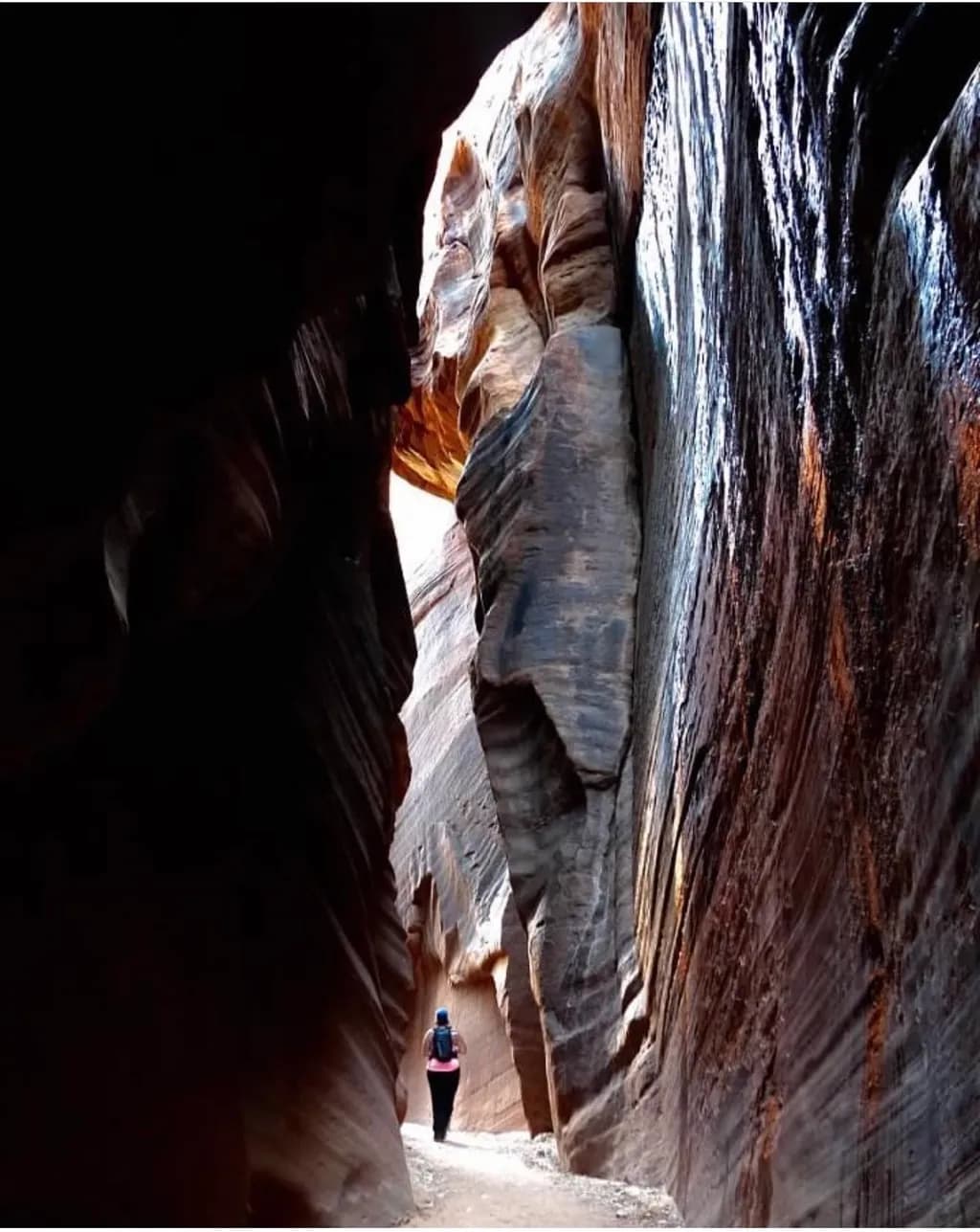 Canyon Solitude