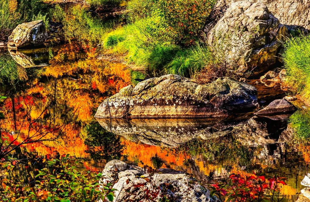Autumn Reflection