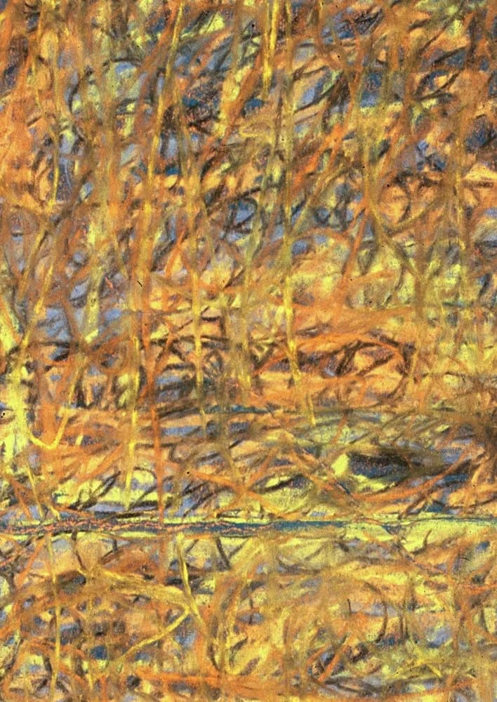 Chaotic Harmony: An Organic Dance of Color and Texture in Abstract Layers