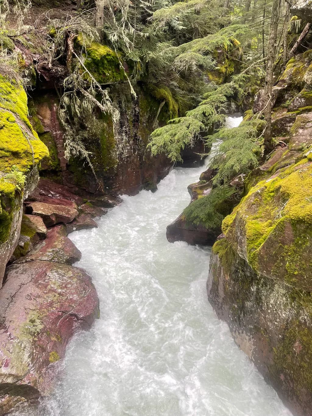 Whispers of the Forest: A Serene River Journey Through Mossy Rocks and Cascading Waters