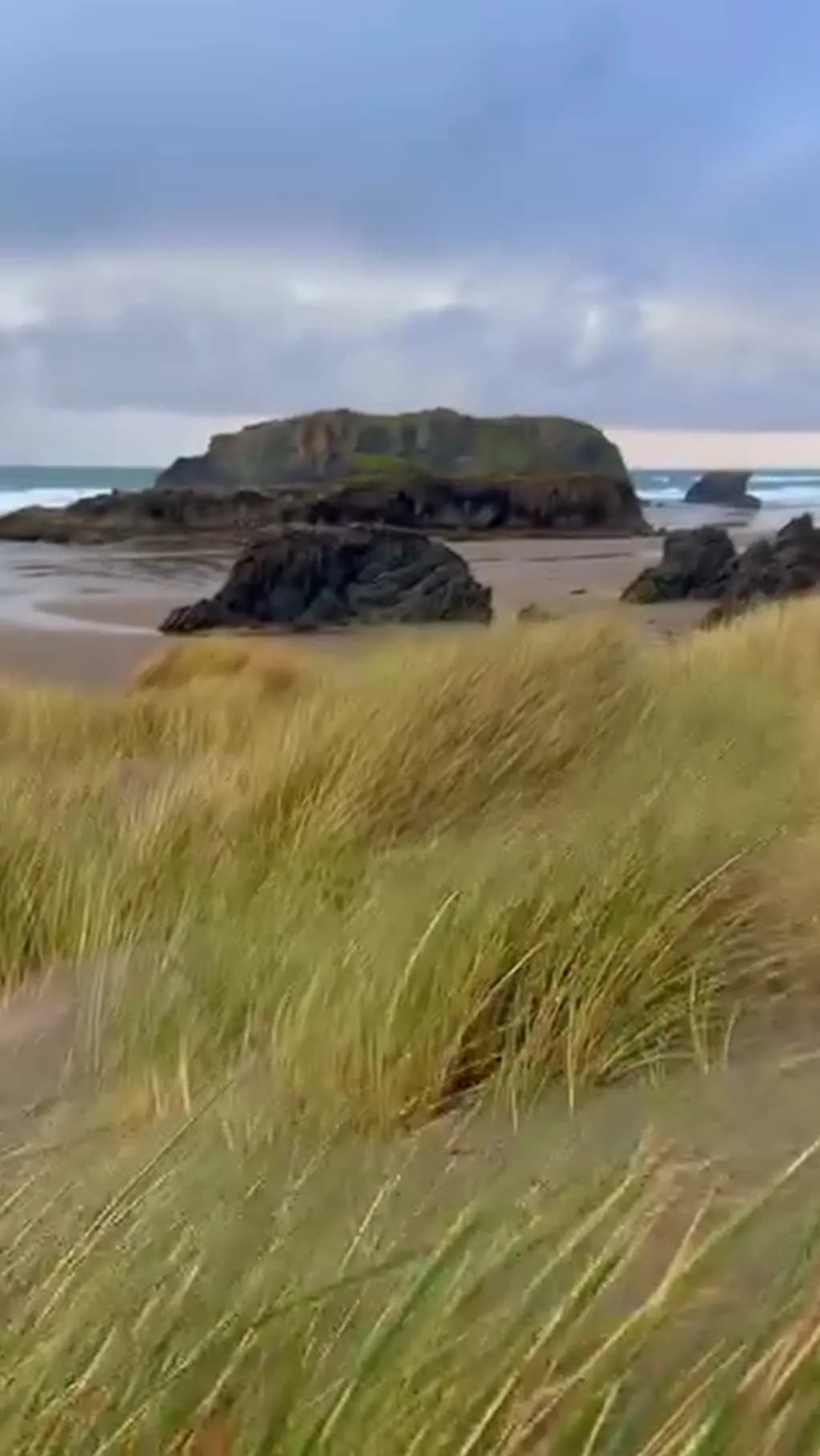 Coastal Serenity