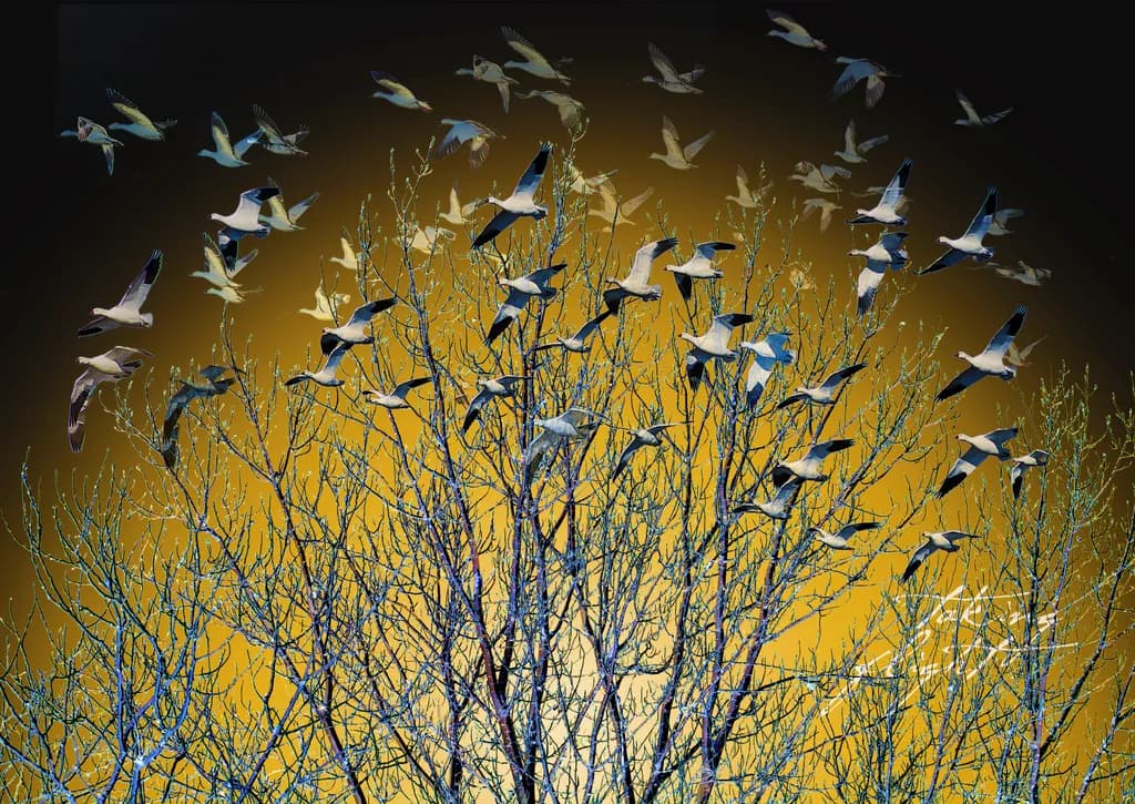 Whispers of Freedom: Birds in Flight Against a Golden Horizon