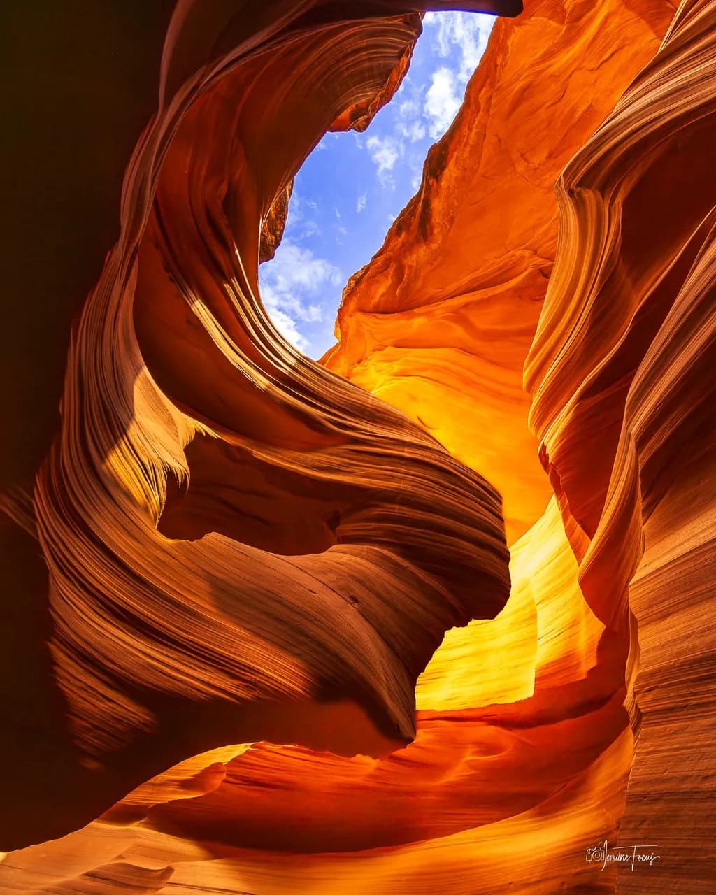 Sunlit Sandstone Canyon