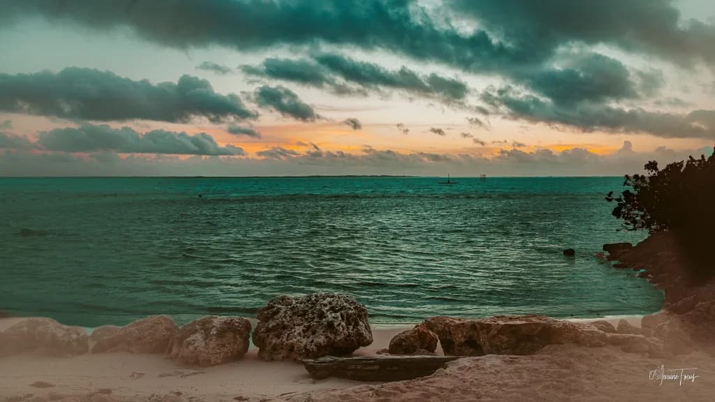 Coastal Sunset Rocks