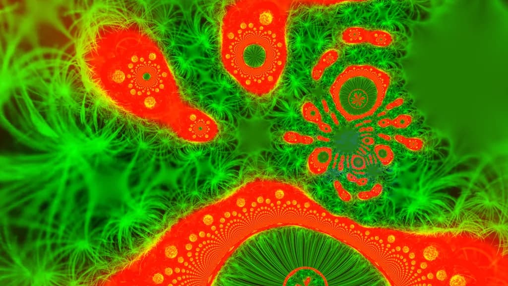 Fractal Fusion