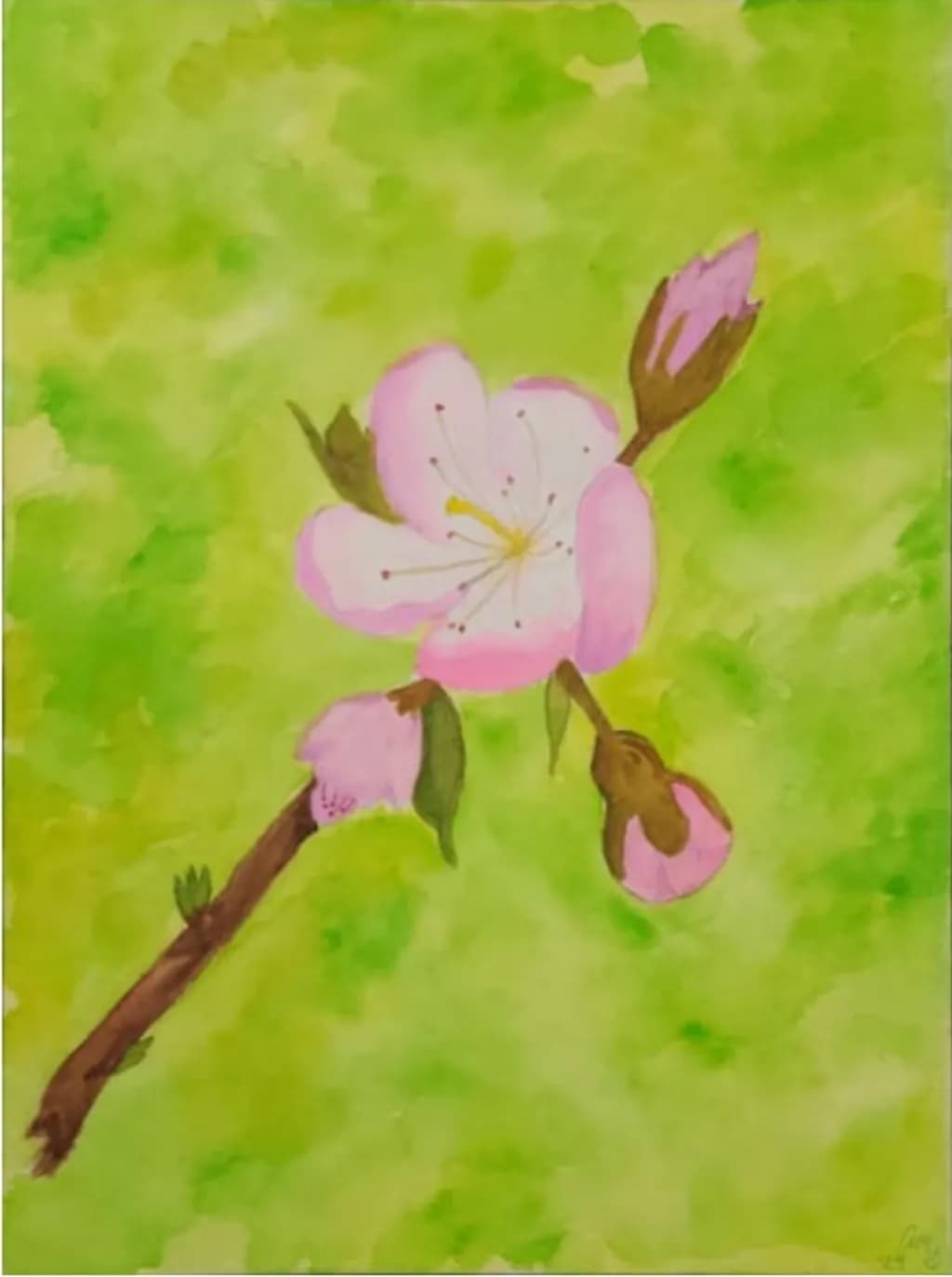 Blossom Burst
