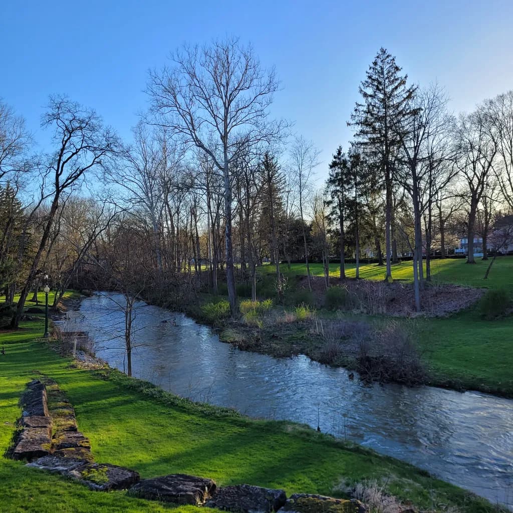 Riverbend Tranquility