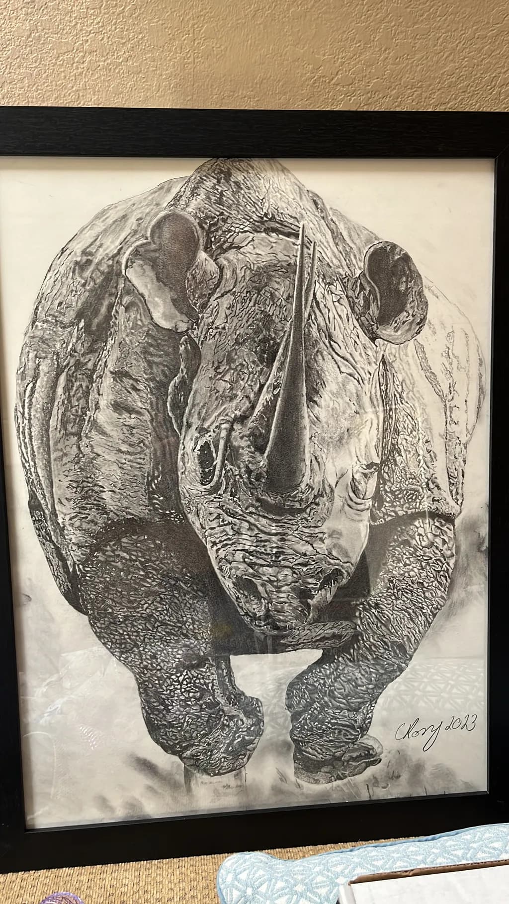 Rhino Portrait