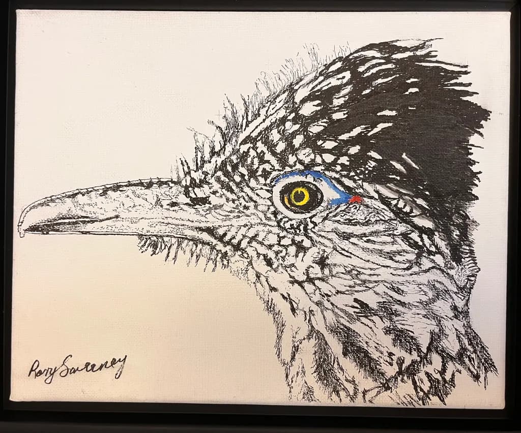 Roadrunner Profile
