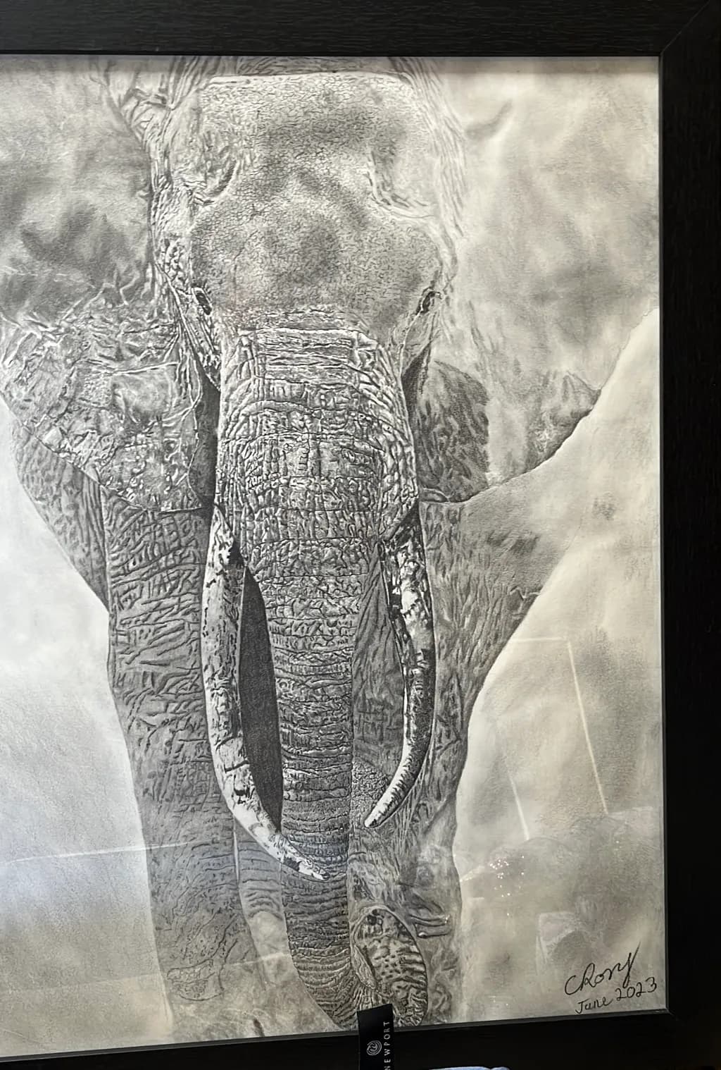 Majestic Elephant Portrait