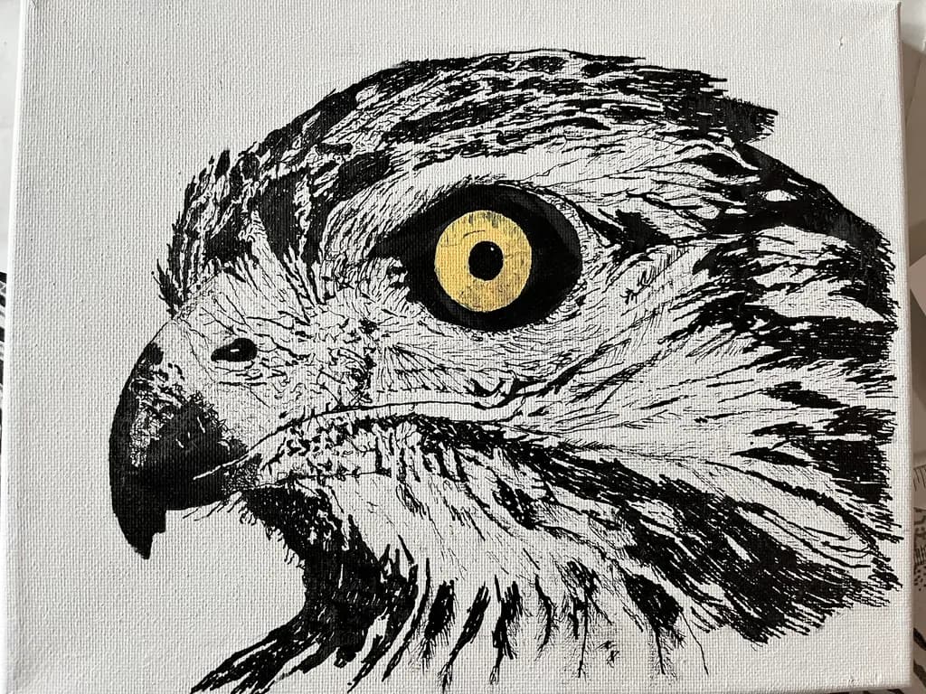 Falcon Gaze