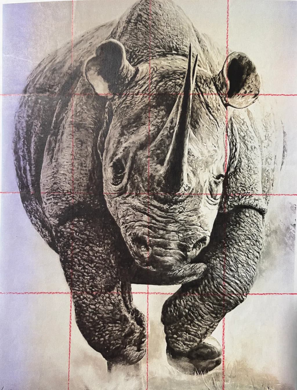 Charging Rhino
