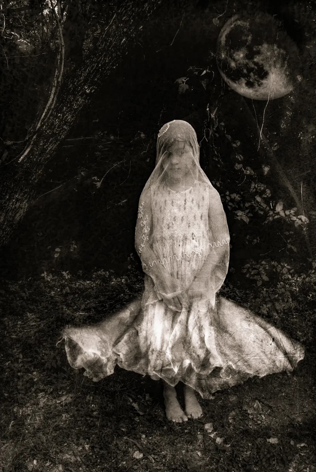 Veiled Reflection