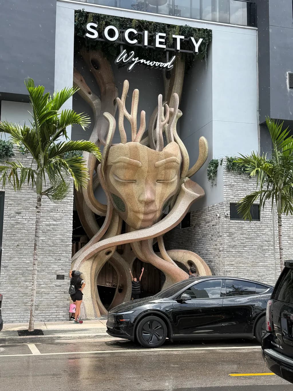 Rooted Face Sculpture