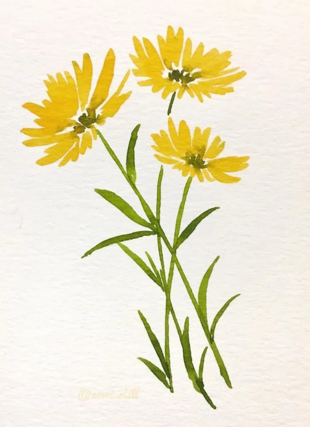Golden Blossoms