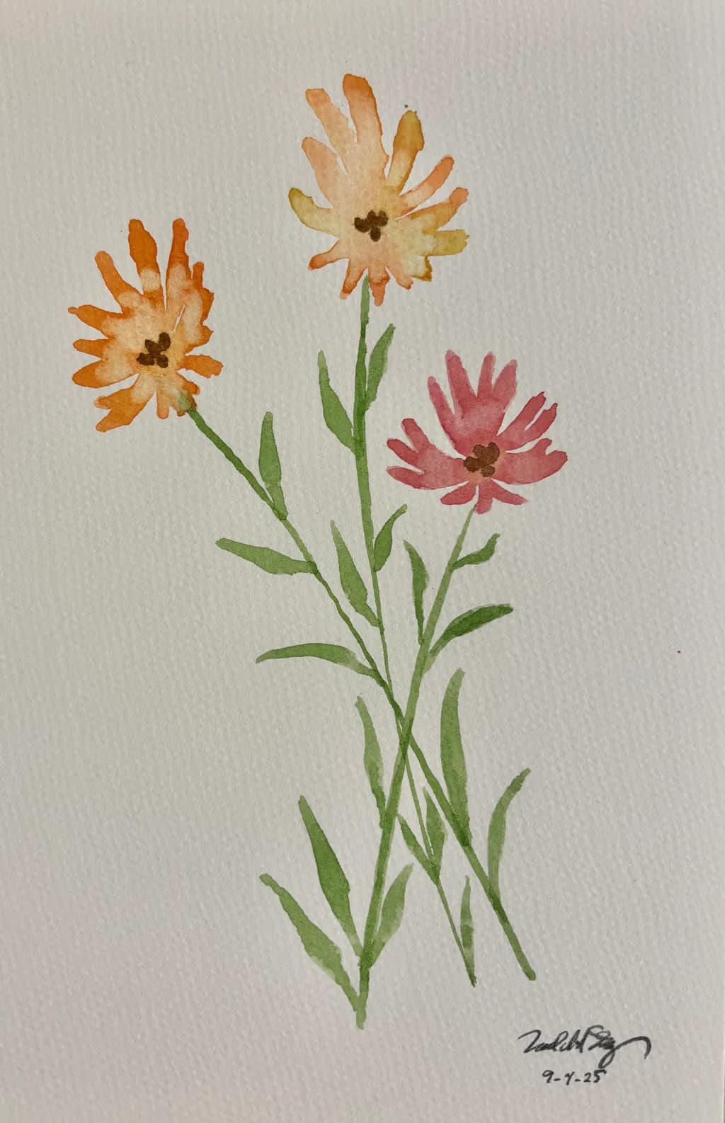 Botanical Blooms
