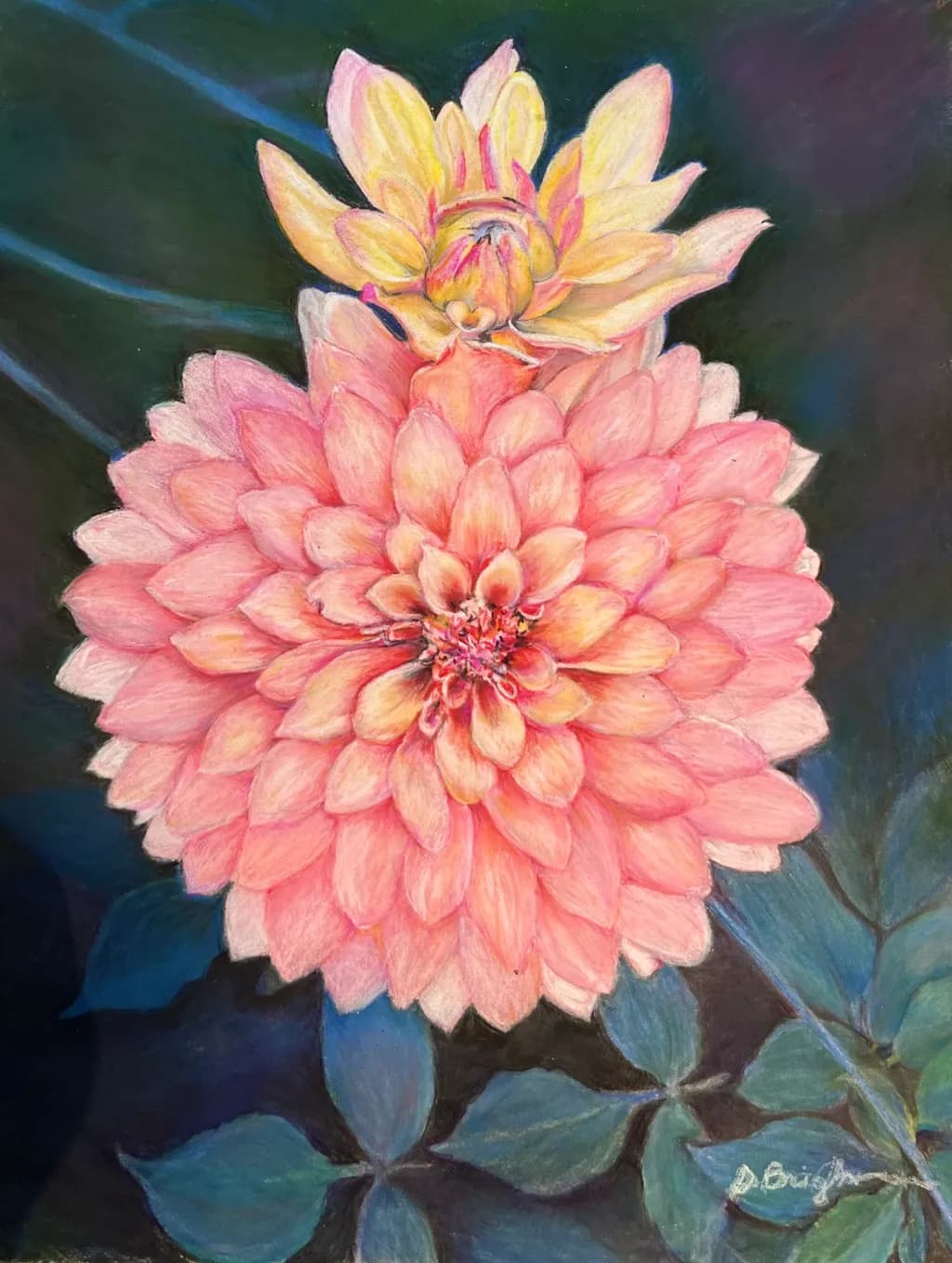 Blossoms of Serenity: A Vibrant Dance of Pink and Yellow Dahlias Against a Dark Canvas