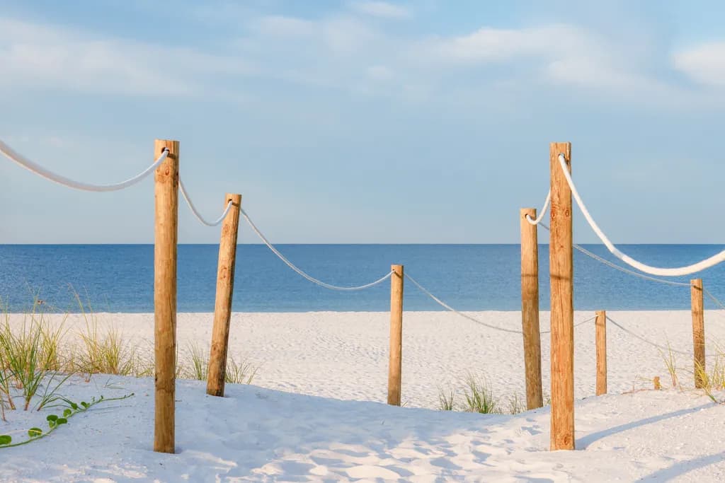 Serenity by the Shore: A Tranquil Path to the Ocean's Embrace