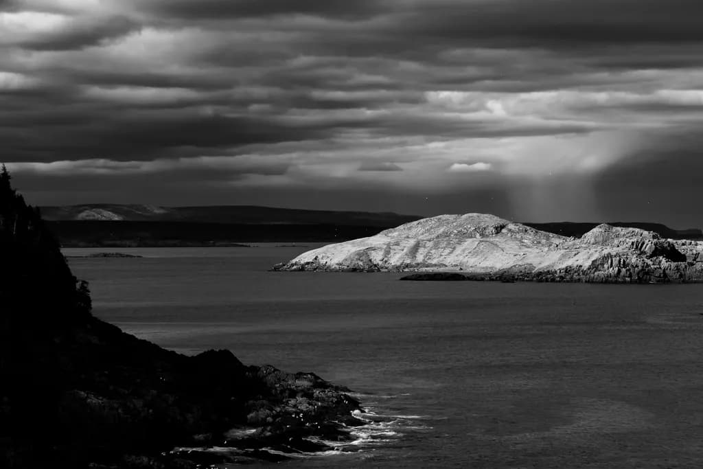 Avalon Peninsula Contrast