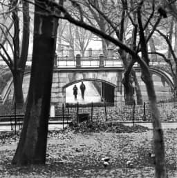 Central Park Pathway
