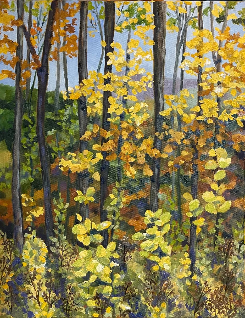 Autumn Canopy