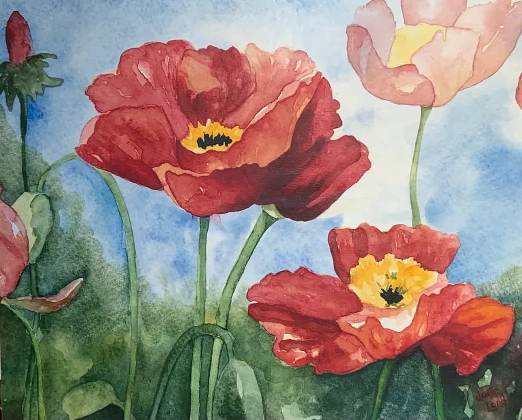 Blooming Poppies