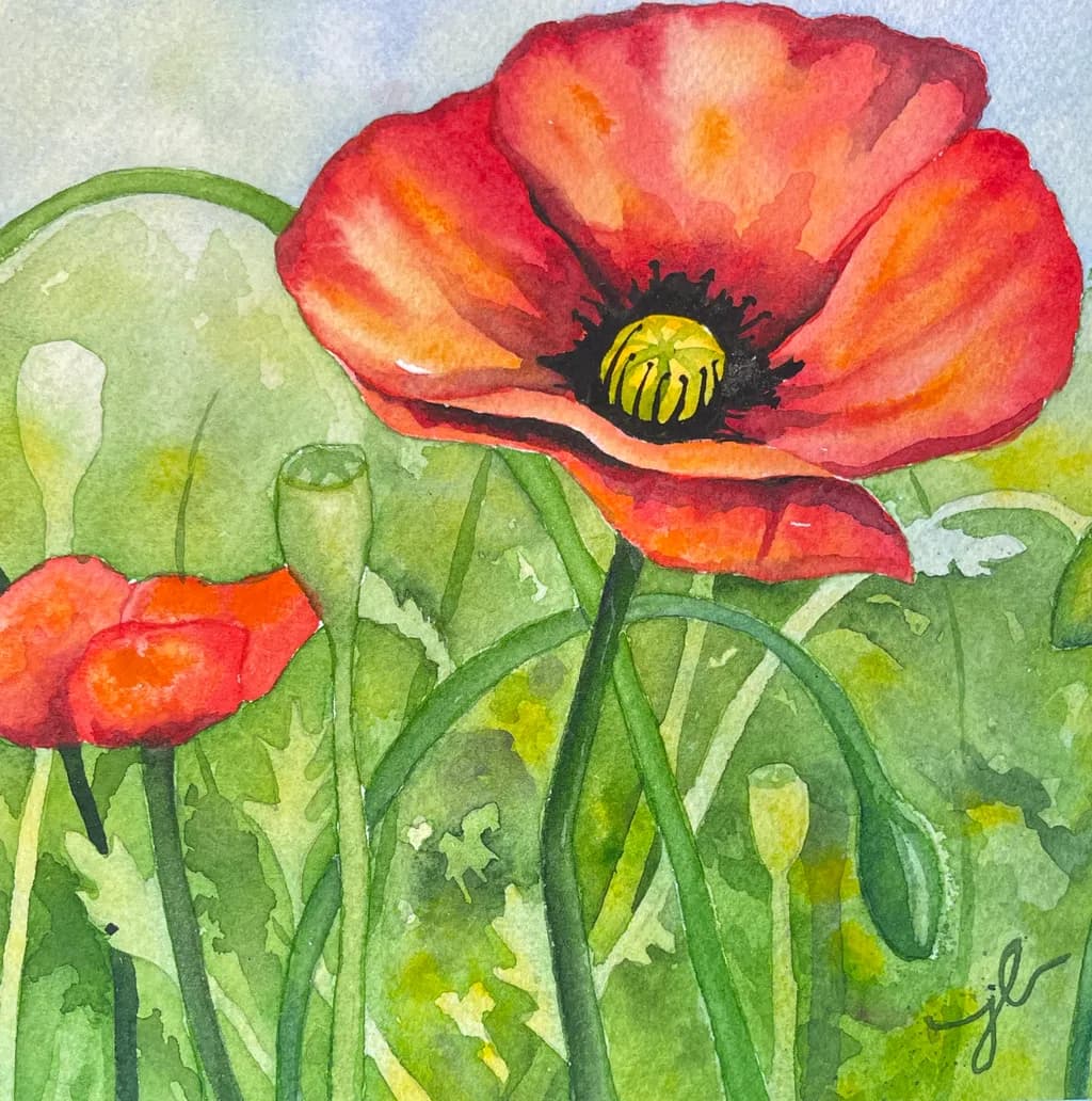 Poppy Bloom