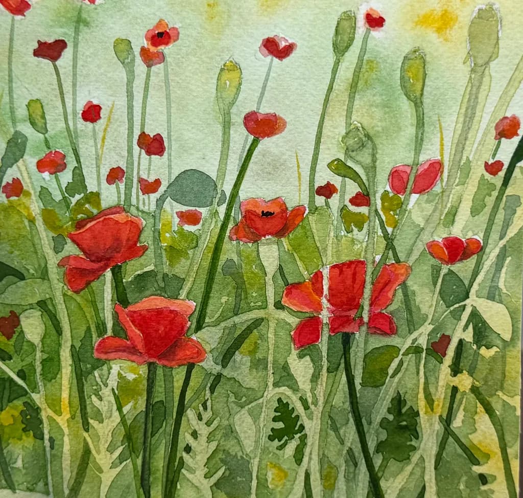 Sunlit Poppies