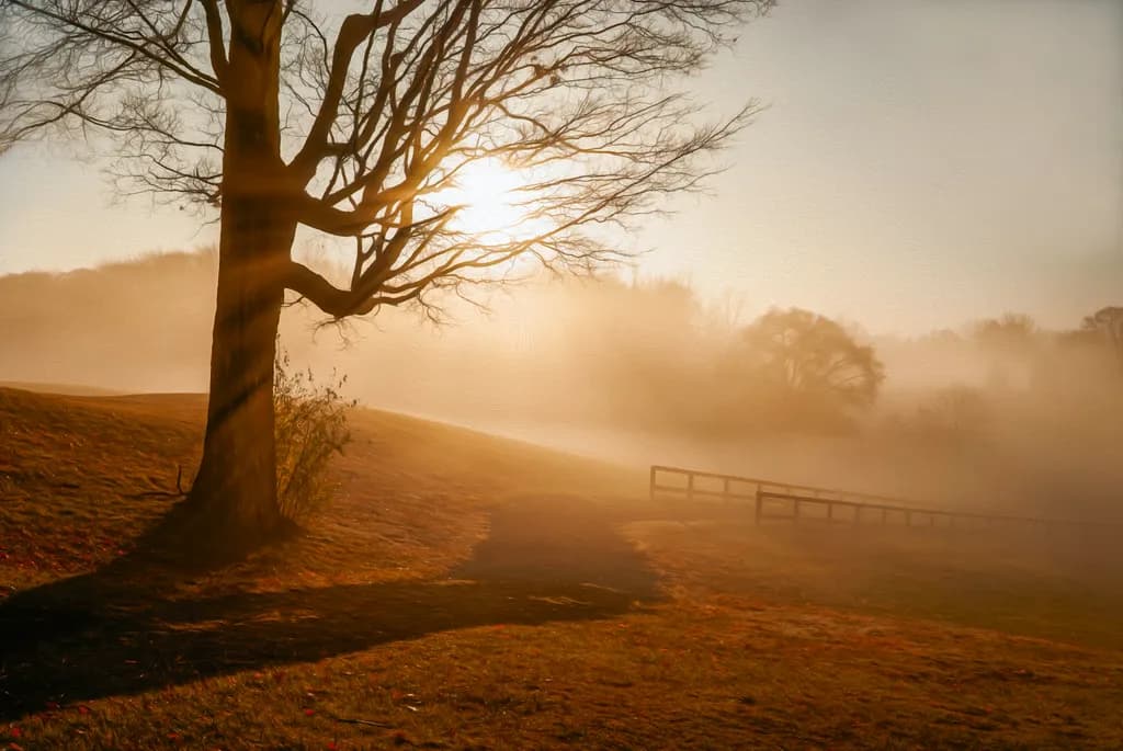 Autumn Light