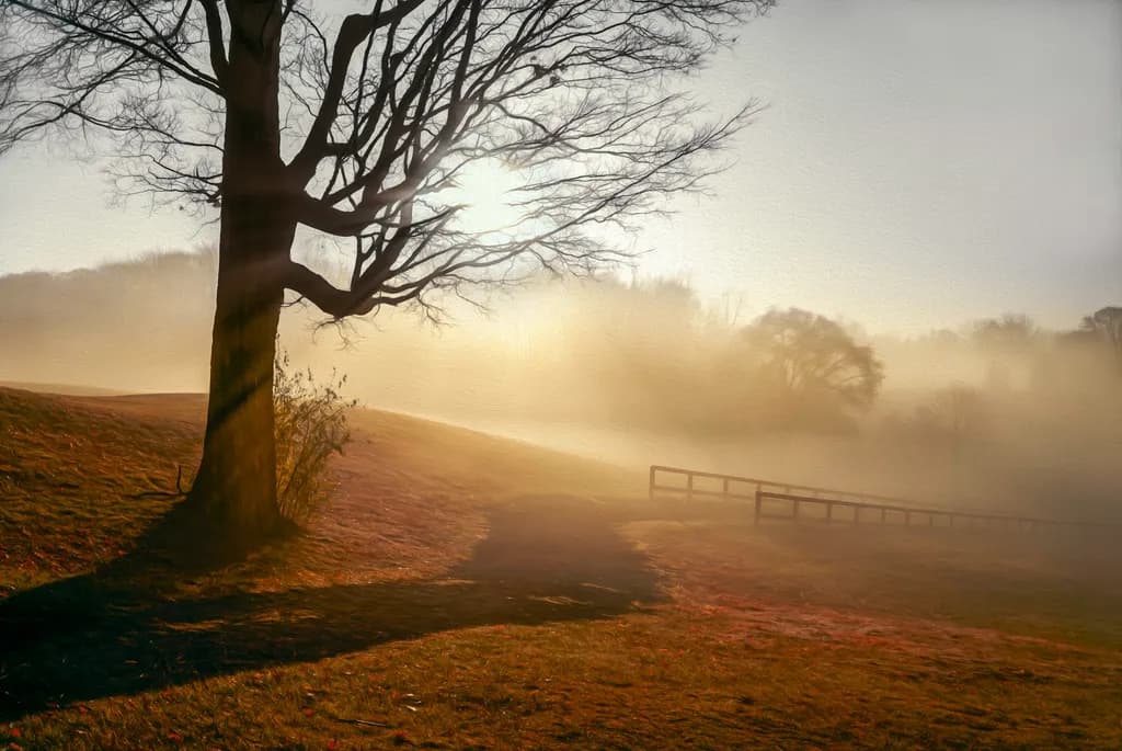 Where the Sun Meets the Mist