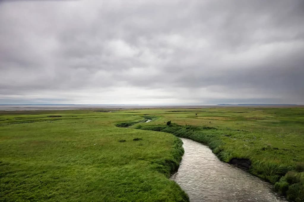 Low Land of Alaska