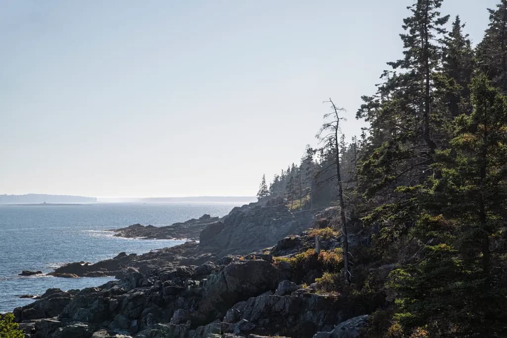 Acadia National Shoreline
